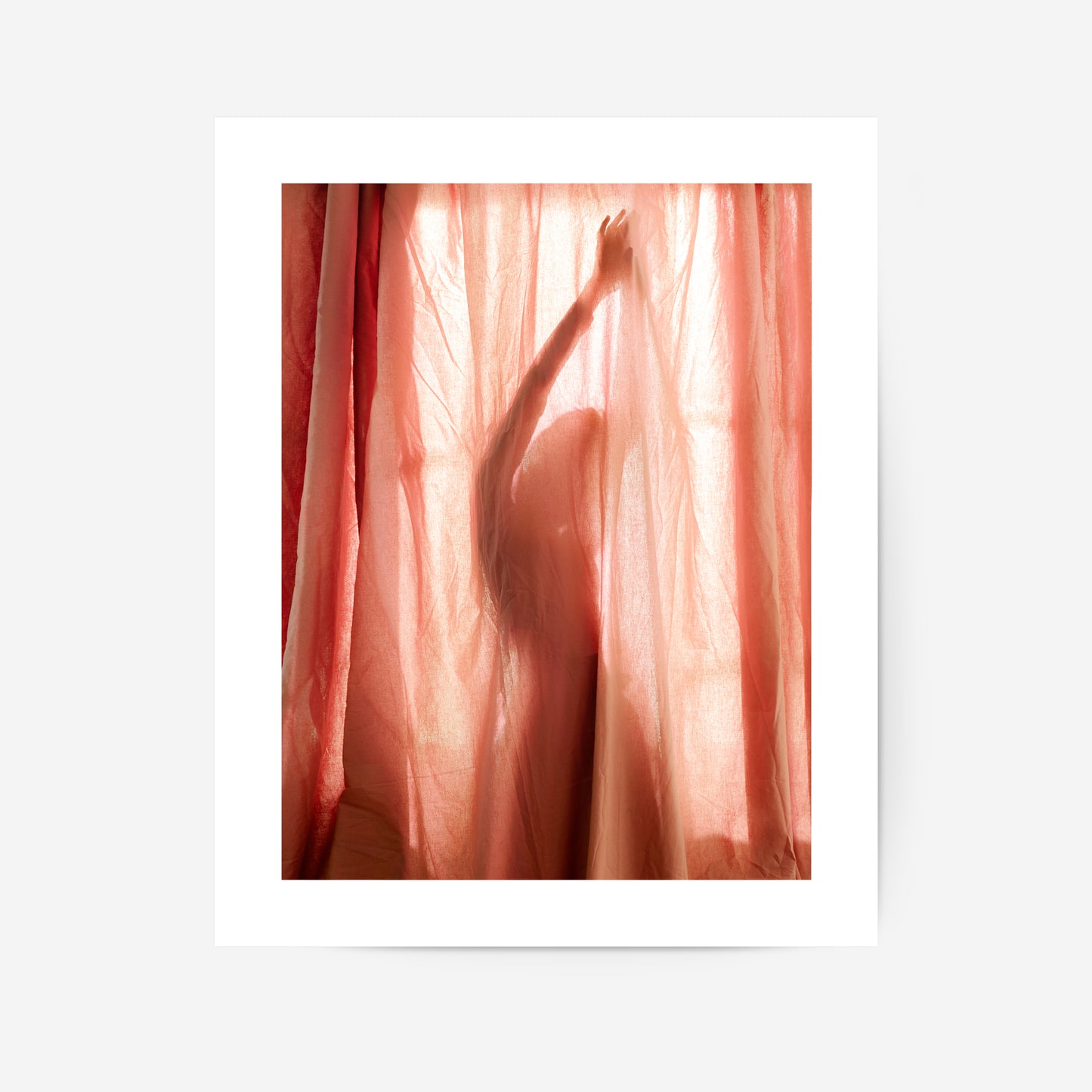 The Silhouette Poster