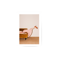 Brown Sofa2