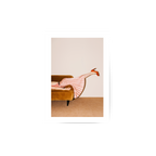 Brown Sofa2