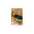 Chilling Sofa Poster