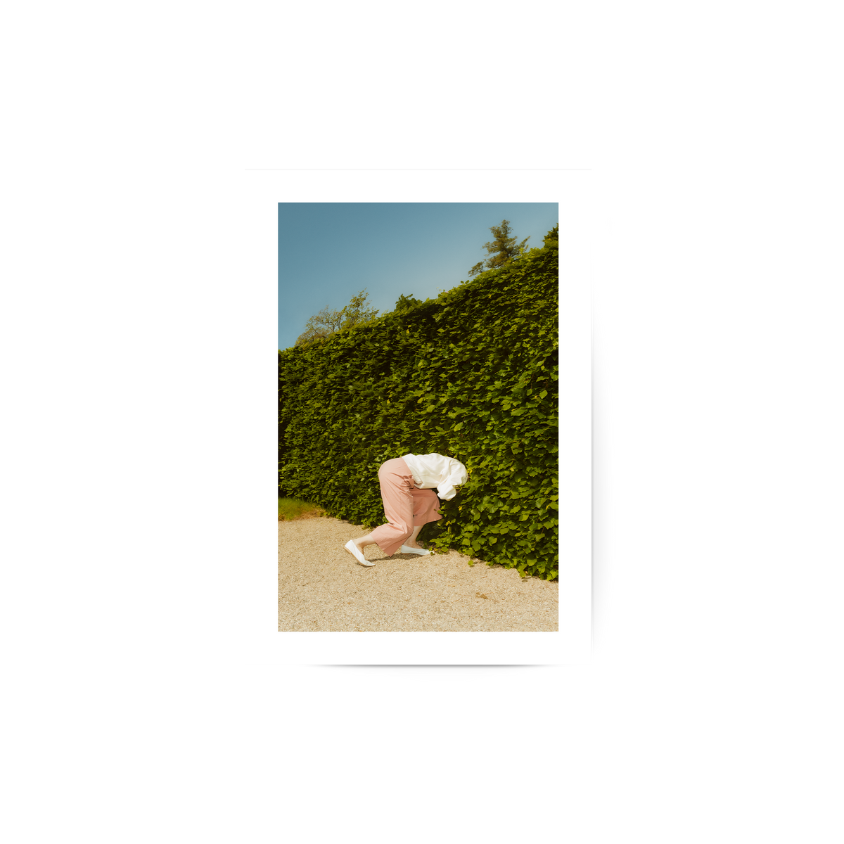 HideandSeek