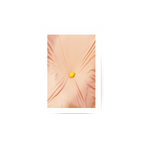 Gravity