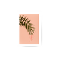 Pink Palm Poster