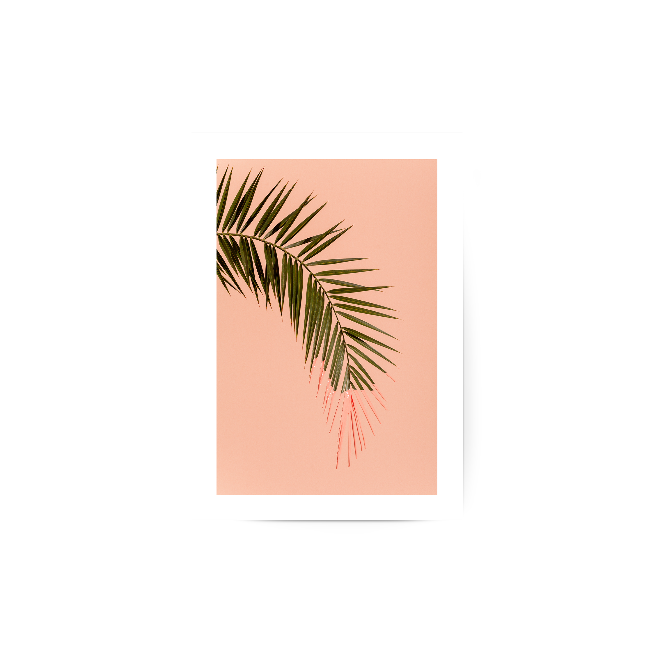 Pink Palm Poster