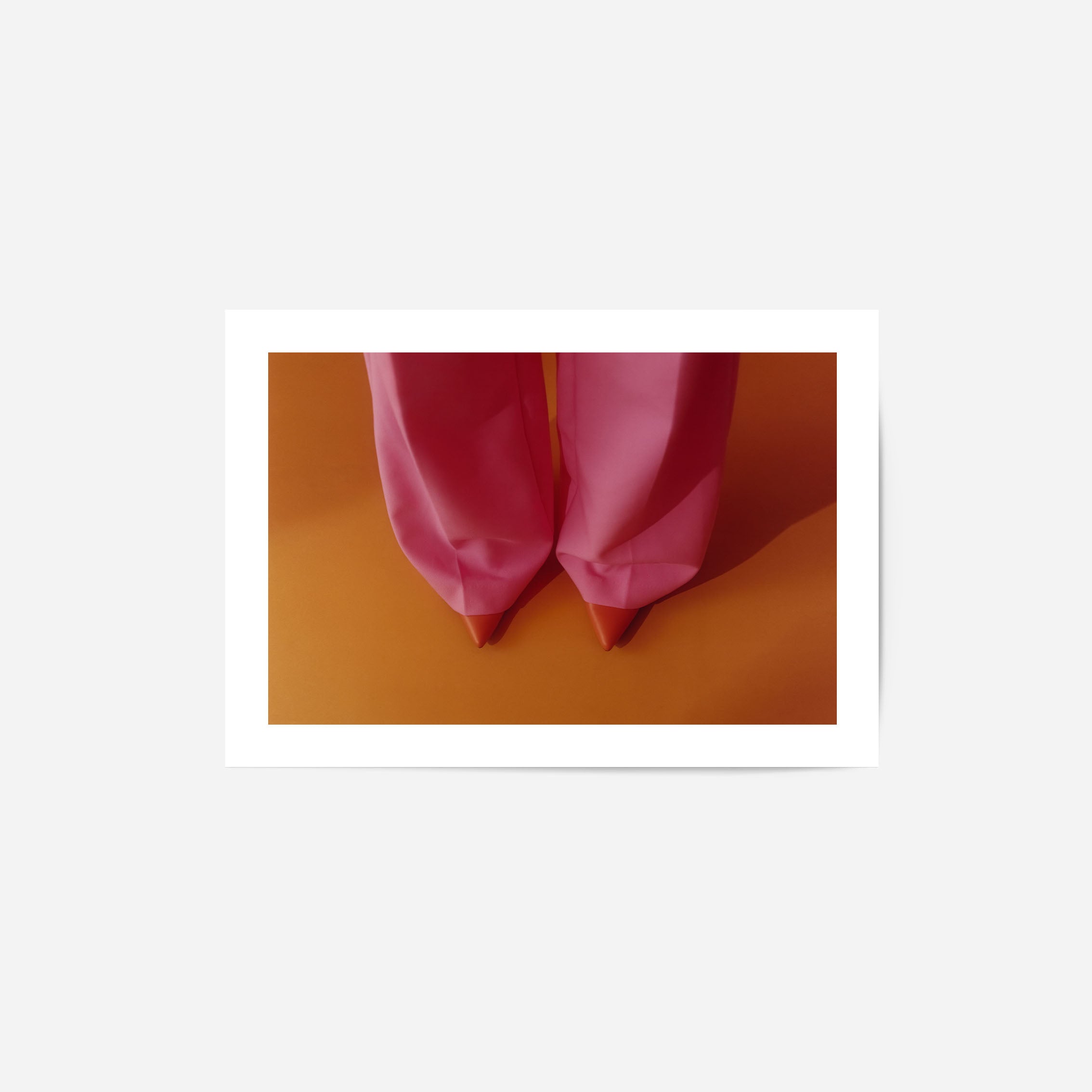 Uccello rosa