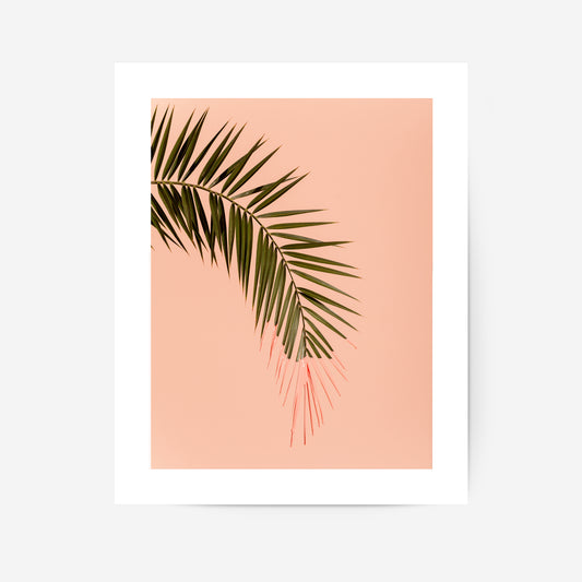 Pink Palm Poster