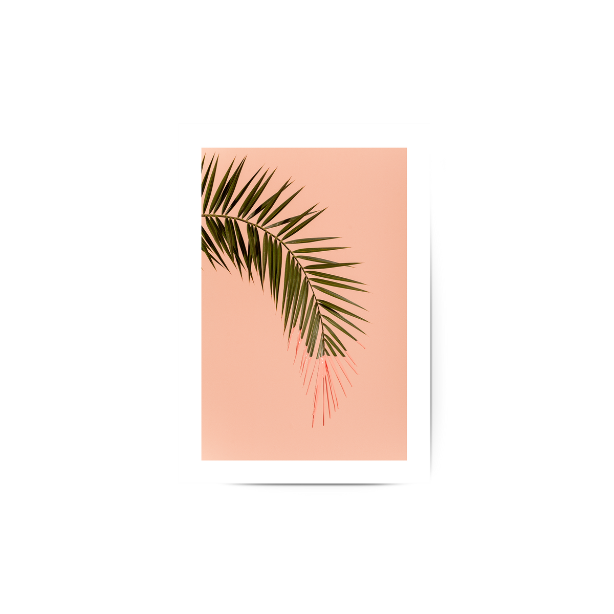 Pink Palm Poster