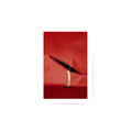 Red Paper