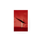 Red Paper