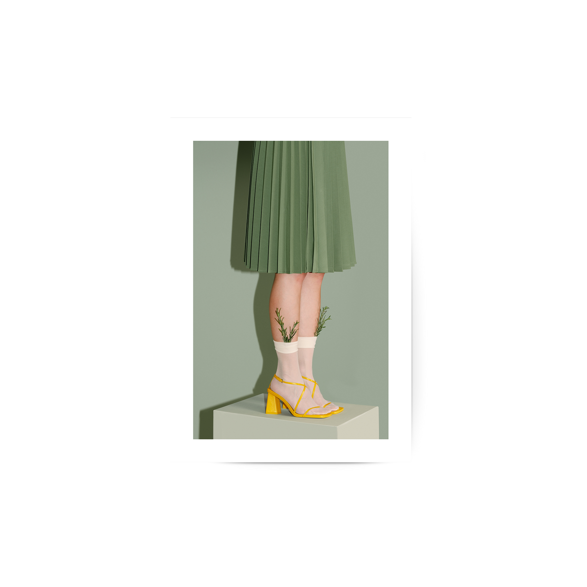 Rosemary Poster