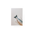 Something Fishy-2