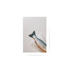 Something Fishy-2