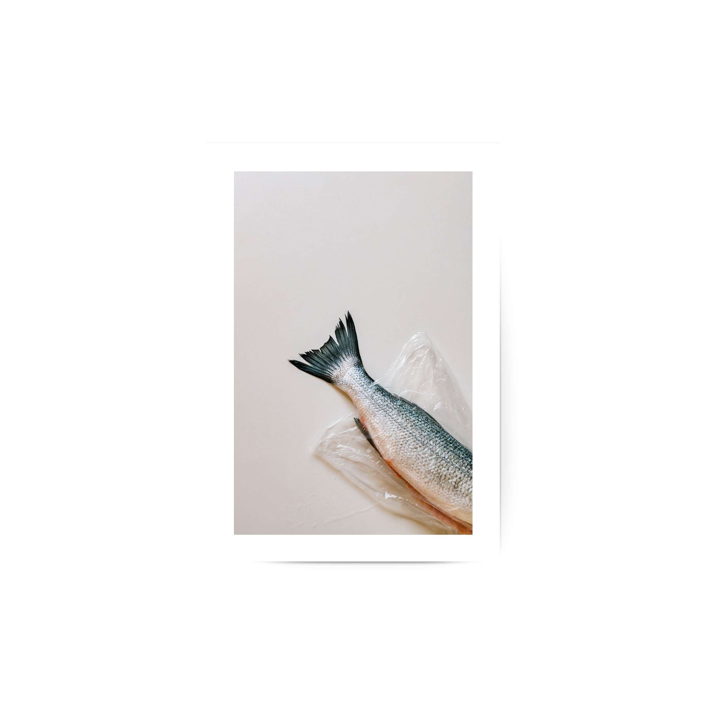 Something Fishy-2