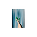 Oliva