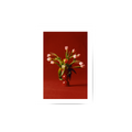 The Red Vase