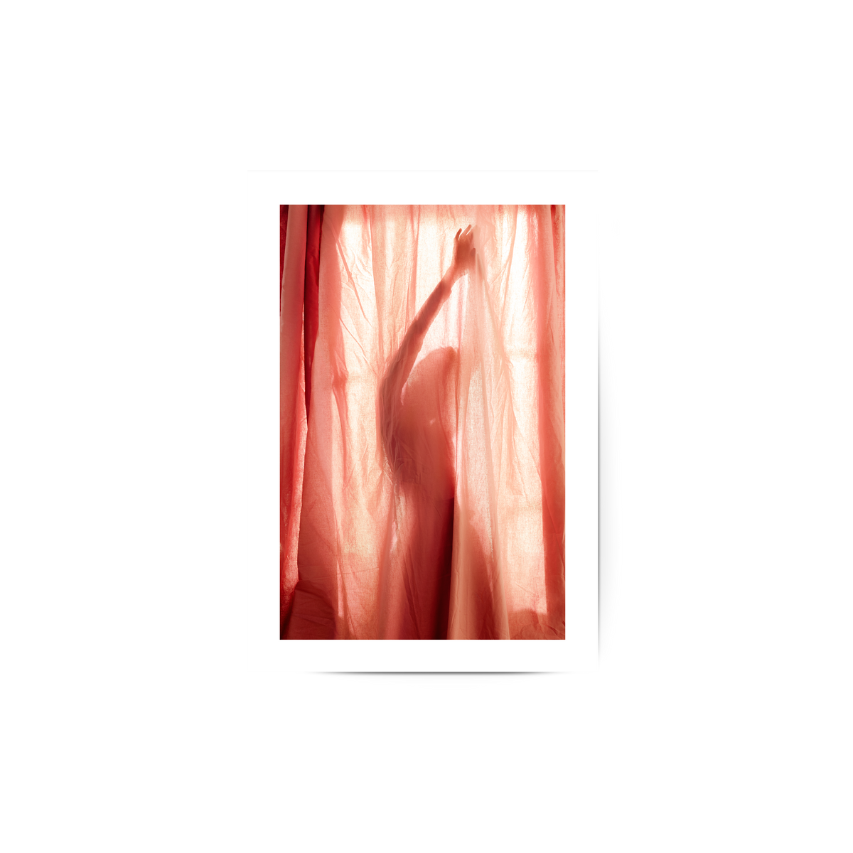 The Silhouette  Poster