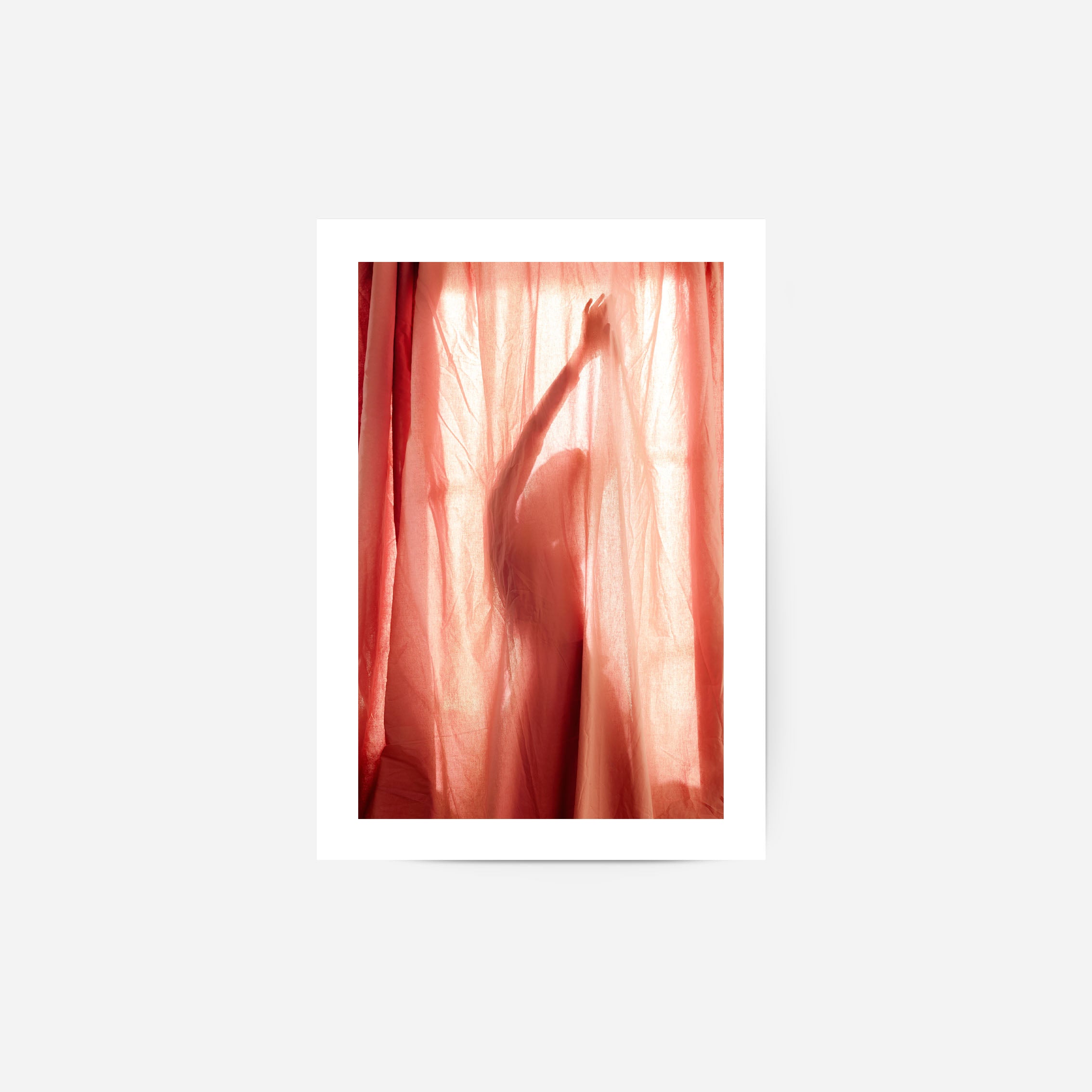 The Silhouette  Poster