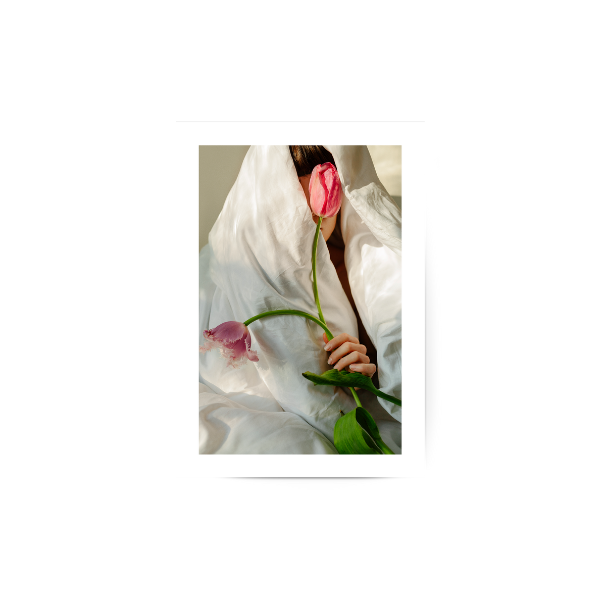 Tulip Poster