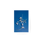 White Flowers