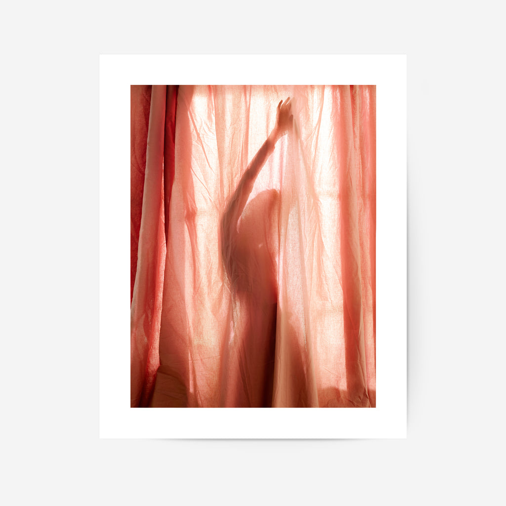 The Silhouette  Poster