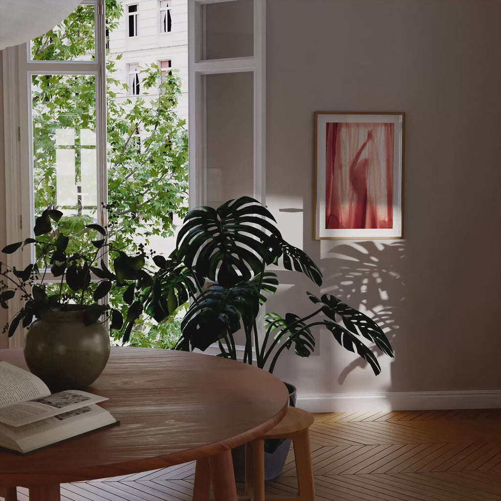 The Silhouette  Poster