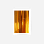 Yellow Curtain